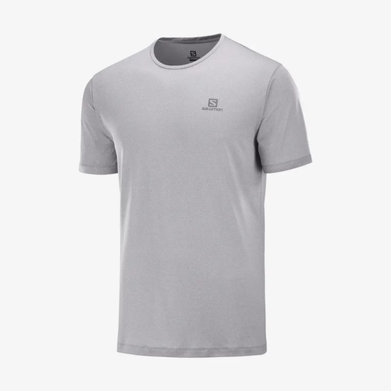 Camiseta Salomon Agile Treino Curta Sleeve Masculino Luz Cinzentas | PT H81056